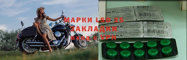прущие крисы Алзамай
