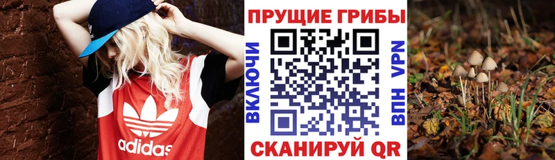 Псилоцибиновые грибы Magic Shrooms купить OMG вход Санкт-Петербург